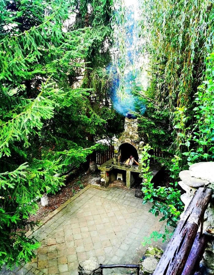 Cabana Brazilor Câmpina Exterior foto